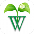 水培蔬菜商城app下载-水培蔬菜商城安卓最新版下载
