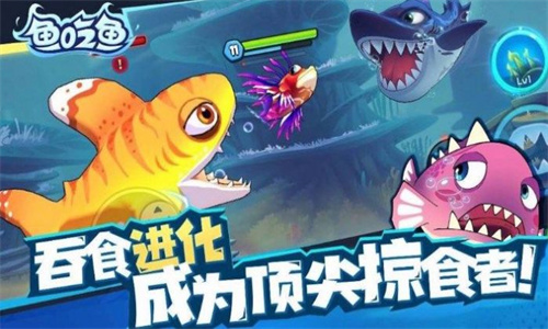 深海大鱼吃小鱼最新版下载-深海大鱼吃小鱼手机免费版下载