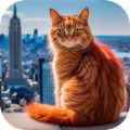 猫咪历险记大都市最新版下载-猫咪历险记大都市安卓正式版下载